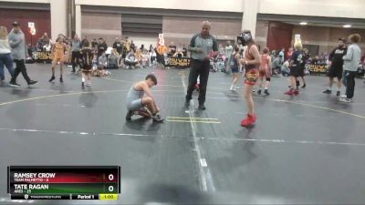 95 lbs Finals (2 Team) - Ramsey Crow, Team Palmetto vs Tate Ragan, Ares