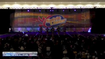 Florida Top Dog All Stars - Drizzle [2025 L1 Mini - Small Day 2] 2025 Spirit Cheer Dance Grand Nationals & Cheer Nationals