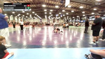 90 lbs Rr Rnd 2 - Reese Babcock, Killer Elite vs Cale Dauber, Ohio Gold