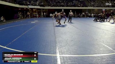 197 lbs Cons. Round 2 - Jadaan Anderson, University Of The Ozarks vs Nicholas Brashear, Huntingdon