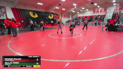 235 lbs Cons. Round 3 - McKenzi Mullen, Garden Grove vs Delilah Perez, Cerritos