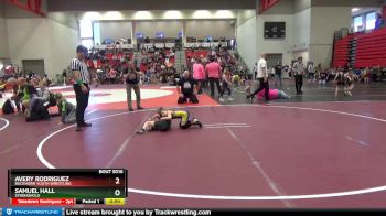 50 lbs Cons. Round 3 - Avery Rodriguez, Buckhorn Youth Wrestling vs Samuel Hall, Stronghold