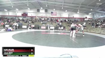 285 lbs Champ. Round 2 - Ajay Hiller, East Stroudsburg vs Cale Gray, Indianapolis