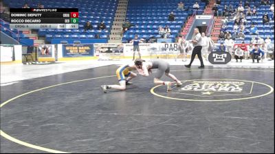 127 lbs Consy Rd Ii - Dominic Deputy, Chestnut Ridge vs Rocco DeCario, Derry Area