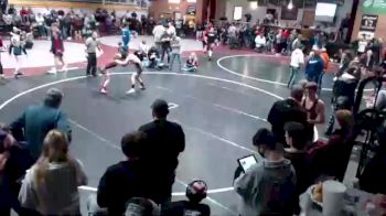 106 lbs Cons. Round 3 - Caila Rice, Clarkston vs Ricky Haralson, Kellogg