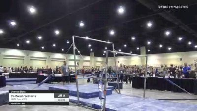 CaMarah Williams - Bars, EDGE Gym #123 - 2021 USA Gymnastics Development Program National Championships