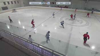 Replay: Home - 2024 Hitmen vs Rockets HC | Jan 25 @ 11 AM