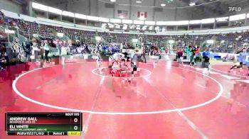 145 lbs Cons. Round 6 - Andrew Gall, Bellefonte Area Hs vs Eli White, South Williamsport Area Hs