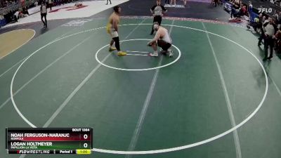 Cons. Semi - Noah Ferguson-Naranjo, Norfolk vs Logan Holtmeyer, Papillion-La Vista