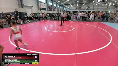 83 lbs Cons. Round 1 - Daniel Baker, Apex Grappling Academy vs Aydan Vice, Katy Area Wrestling Club