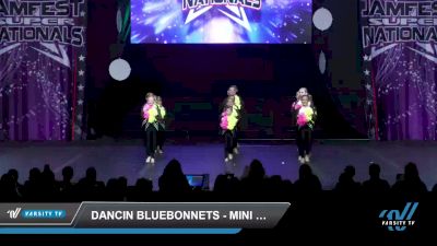 Dancin Bluebonnets - Mini Pom [2022 Mini - Pom - Large Day 3] 2022 JAMfest Dance Super Nationals