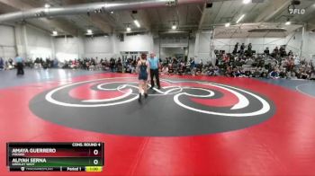 110 lbs Cons. Round 4 - Amaya Guerrero, Poudre vs Aliyah Serna, Greeley West