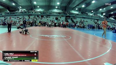 80 lbs Cons. Round 4 - Cahree Smart, STL Warrior-AA  vs Cael Wilt, Palmyra Youth Wrestling Club-AAA