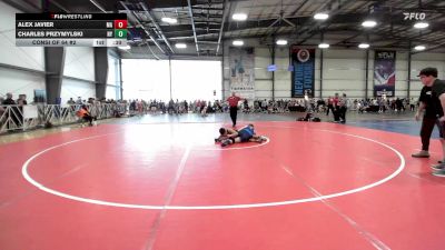 132 lbs Consi Of 64 #2 - Alex Javier, MA vs Charles Przymylski, NY
