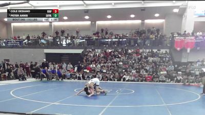 113 lbs Final - Cole Desiano, Ridgefield vs Peter Annis, Suffield/Windsor Locks