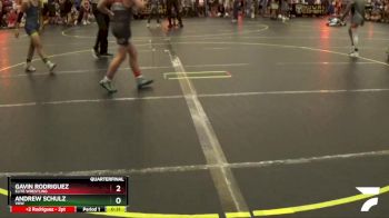 101 lbs Quarterfinal - Gavin Rodriguez, Elite Wrestling vs Andrew Schulz, VHW