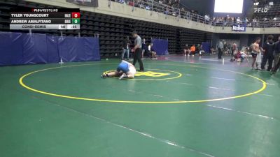 135 lbs Consolation - Tyler Youngcourt, Hazelton vs Andrew Amalfitano, Greenwood