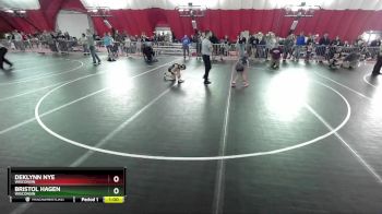 81 lbs Round 5 - Deklynn Nye, Wisconsin vs Bristol Hagen, Wisconsin