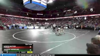 D3-106 lbs Quarterfinal - Maddux Wendling, Valders vs Amryn Nutter, Fennimore