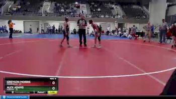 115 lbs Finals (8 Team) - Alex Adams, Perham vs Greyson Morris, Monticello