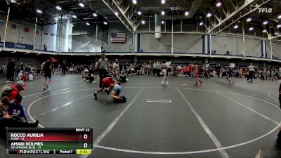 88 lbs Round 5 (10 Team) - Amari Holmes, U2 Uprising Blue vs Rocco Aurilia, FLOW