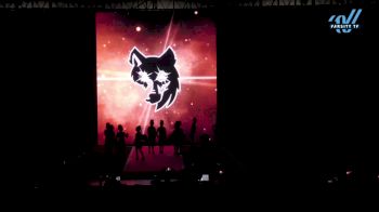 Wolf Pack All Stars - Fangs [2023 L1 Tiny - D2 Day 2] 2023 Encore Grand Nationals