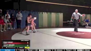 138 lbs Cons. Round 3 - Cole Carney, Solon vs Wyatt Walker, Union, LaPorte City