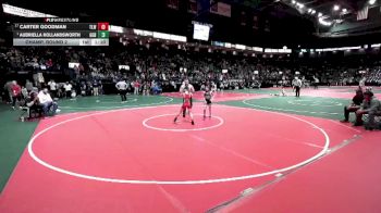 68 lbs Champ. Round 2 - Aubriella Hollandsworth, GGBA vs Carter Goodman, TLWA