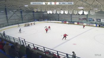 Replay: Home - 2025 CRAA Blue U13 vs NWCAA Bronks U13 | Feb 16 @ 1 PM