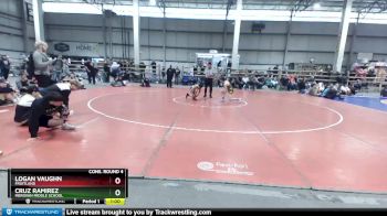 105 lbs Cons. Round 4 - Cruz Ramirez, Meridian Middle School vs Logan Vaughn, Fruitland