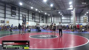 113 lbs Round 2 (4 Team) - Lucas Roberts, CAPITAL CITY WRESTLING CLUB vs Cam Harrell, SHENANDOAH VALLEY WRESTLING CLUB