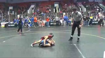 60 lbs Semis & 1st Wrestleback (8 Team) - Elliot Arnett, Plainwell vs Hudson Morgan, Rochester