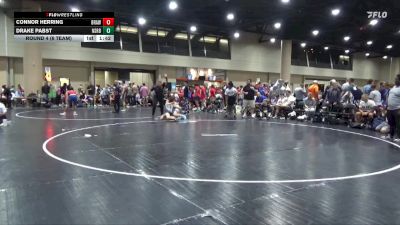 165 lbs Round 4 (6 Team) - Connor Herring, BRAWL White vs Drake Pabst, North Shelby Regulators Blue