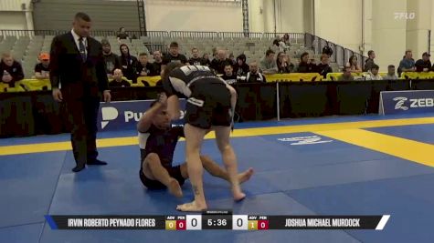 Joshua Michael Murdock vs Irvin Roberto Peynado Flores 2025 World IBJJF Jiu-Jitsu No-Gi Championship
