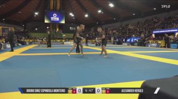 Bruno Diniz Espindola Monteiro vs Alexander Herold 2026 IBJJF European NoGi