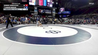 150 lbs Champ. Rd Of 64 - Dominic Angelicchio, PA vs Landon Weidler, IL