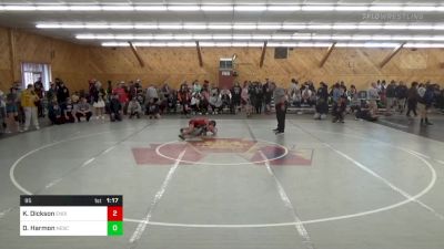 95 lbs Quarterfinal - Kaelynn Dickson, Endicott vs Dade Harmon, Nescopeck