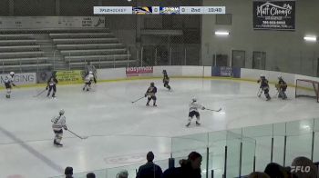 Replay: Home - 2024 STA Sharks  vs  Storm | Dec 7 @ 7 PM