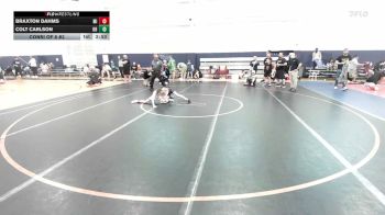 65 lbs Consi Of 8 #2 - Braxton Dahms, MI vs Colt Carlson, OH