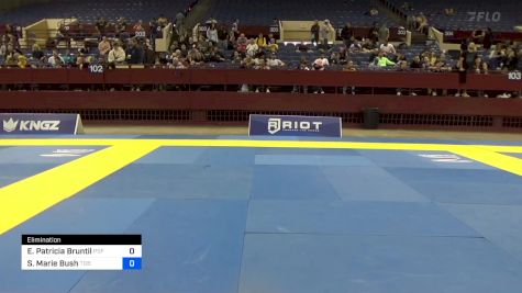 Andrew Lawrence Didonato vs Nasif Sadiq Radwan 2024 Pan IBJJF Jiu-Jitsu No-Gi Championship