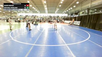 132 lbs Round Of 16 - Dante DePaul, NJ vs Mitchell Rowland, NC