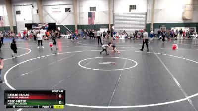49 lbs Semifinal - Caylix Casias, Pikes Peak Warriors vs Reed Meese, Hawks WC Lincoln