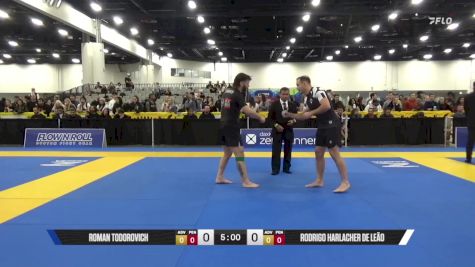 Rodrigo Harlacher De Leão vs Roman Todorovich 2025 World IBJJF Jiu-Jitsu No-Gi Championship