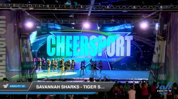 Savannah Sharks - Tiger Sharks [2020 Senior Medium 4 Day 2] 2020 CHEERSPORT National Cheerleading Championship