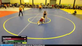 132 lbs Semifinal - Eli Paulson, Anoka vs Tyson Charmoli, St. Francis