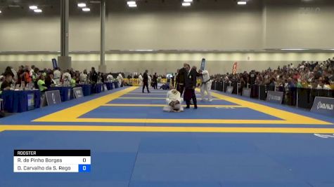 Jeysen Santiago Dos Santos vs Douglas Rufino Da Silva 2024 World Masters IBJJF Jiu-Jitsu Championship