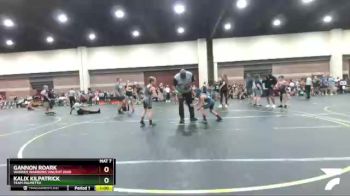 65 lbs Quarterfinal - Kalix Kilpatrick, Team Palmetto vs Gannon Roark, Warren Warriors Vincent Ohio