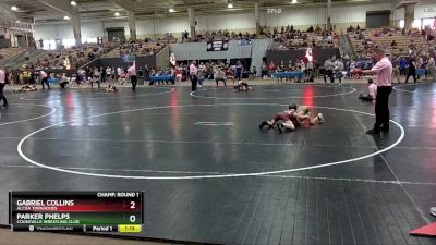 75 lbs Champ. Round 1 - Gabriel Collins, Alcoa Tornadoes vs Parker Phelps, Cookeville Wrestling Club