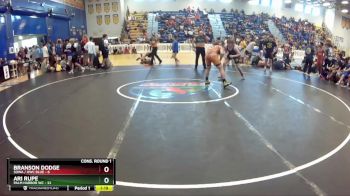 157 lbs Quarters & Wb (16 Team) - Branson Dodge, SOWA / HWC BLUE vs Ari Rupe, Palm Harbor WC