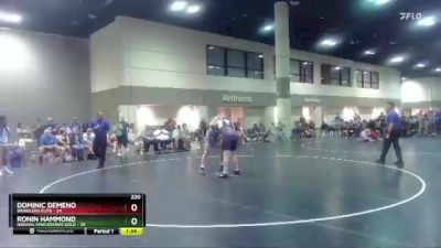220 lbs Placement Matches (16 Team) - Dominic Demeno, Brawlers Elite vs Ronin Hammond, Indiana Smackdown Gold